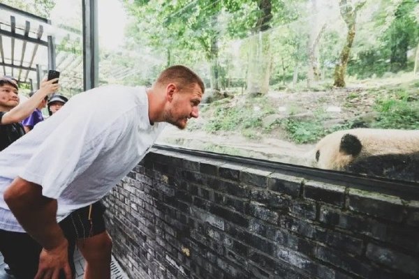 Tất cả các kho báu và bài vi